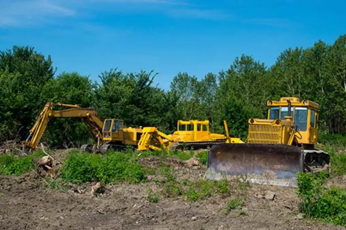 Lot Clearing